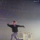 댕댕아 이미지