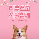 대전전자담배마켓유성 이미지