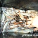 여기는 팔포항입니다 이미지