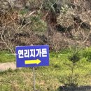 자연농원 옥길 럭키점 | [제주/한경면] 하루 30팀 자연방목 흑돼지 도민맛집 | 연리지가든 | 내돈내산 솔직 후기