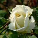 청암공원 이미지