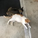 킵인터치(keep in touch) 이미지