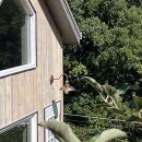 온리앳오운리 | 온리앳오운리로 사람들이 모여들던 날