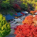 다래 전통찻집 이미지