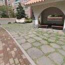 이진캐스빌부동산공인중개사사무소 이미지