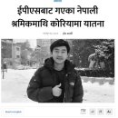 한국돈농장 이미지