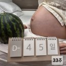 심드렁 | 임신중기🤰에 하면 좋을것 3편(만삭촬영 셀프 스튜디오 조리원연계 맛집 여행 출산휴가 등)