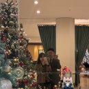 그랜드호텔 | 서울 호캉스 스위스그랜드호텔 객실, 조식 후기