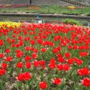 세느파크 이미지