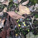 남진농장 이미지