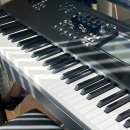 포레스트음악학원 이미지