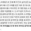 용운장의