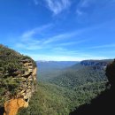 블루마운틴 이미지