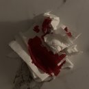 24.03.18.(월) ~ 03.24.(일), 일상