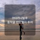 코타키나발루 반딧불이 투어, 동막골의 숨은 명소! 후기+팁 대공개