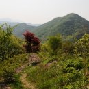 동산 경로당 이미지
