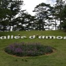 달랏(DA LAT) 이미지