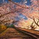 대구사이버대학교 휴먼케어대학원 | 알아보자!2025-2026 일본 유학 및 어학연수