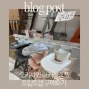 트랩 | 일본 오키나와 아카짱혼포 트립트랩 구매 후기 (포장, 가격 비교)