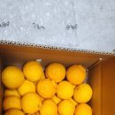 이강인농장 이미지