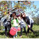 가현농장 이미지