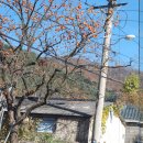 상신사 이미지
