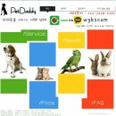 펫대디 이미지