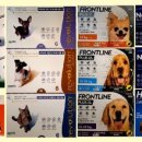 큰마을약국 이미지