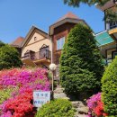 강가애하루 이미지