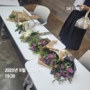플라워리 | 탐나는인재 인터뷰_8기(도내청년)_창업트랙_ 오플라워리(오마이플랜트) _오화영님