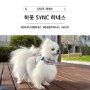 무야네일 | [강아지 하네스] 탄탄하고 안전하게 산책하는 앞섬방지 하웃 SYNC L자형 하네스