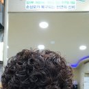 자연애 염색