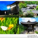 가송길(도산면) 이미지