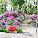 청아공원 이미지