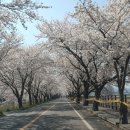 주산주유소 이미지