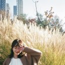 힐링 캘리그라피 Daum카페