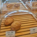 칸토커피로스터리 - 안성시 읍내길 11-1 | 세현cc 맛집 용인 브런치 카페 칸토커피로스터리