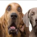 태평사우나 이미지