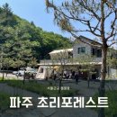 초리포레스트 이미지