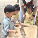 공립 클래스아이어린이집 | 국공립 야탑어린이집 부모참여수업 피크닉데이 부모만족도 만점!
