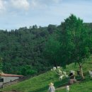 동원목장 이미지