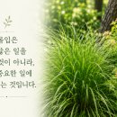 대화센터-003 | 무엇을 더 할까보다 무엇을 하지 않을까 - 황농문 《몰입》 독서모임 마지막 날 -