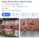 하우스본본 이미지