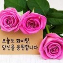 백일에너지 이미지