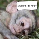 (주)다후 이미지