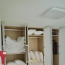 시고르스테이 이미지