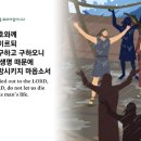그리다시스 이미지