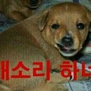 인 이미지