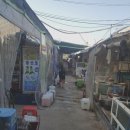 부산 남구 용호동맛집 ::섶자리::