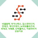 비엘칩스